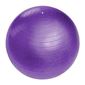 Мяч гимнастический Sportage 45 см