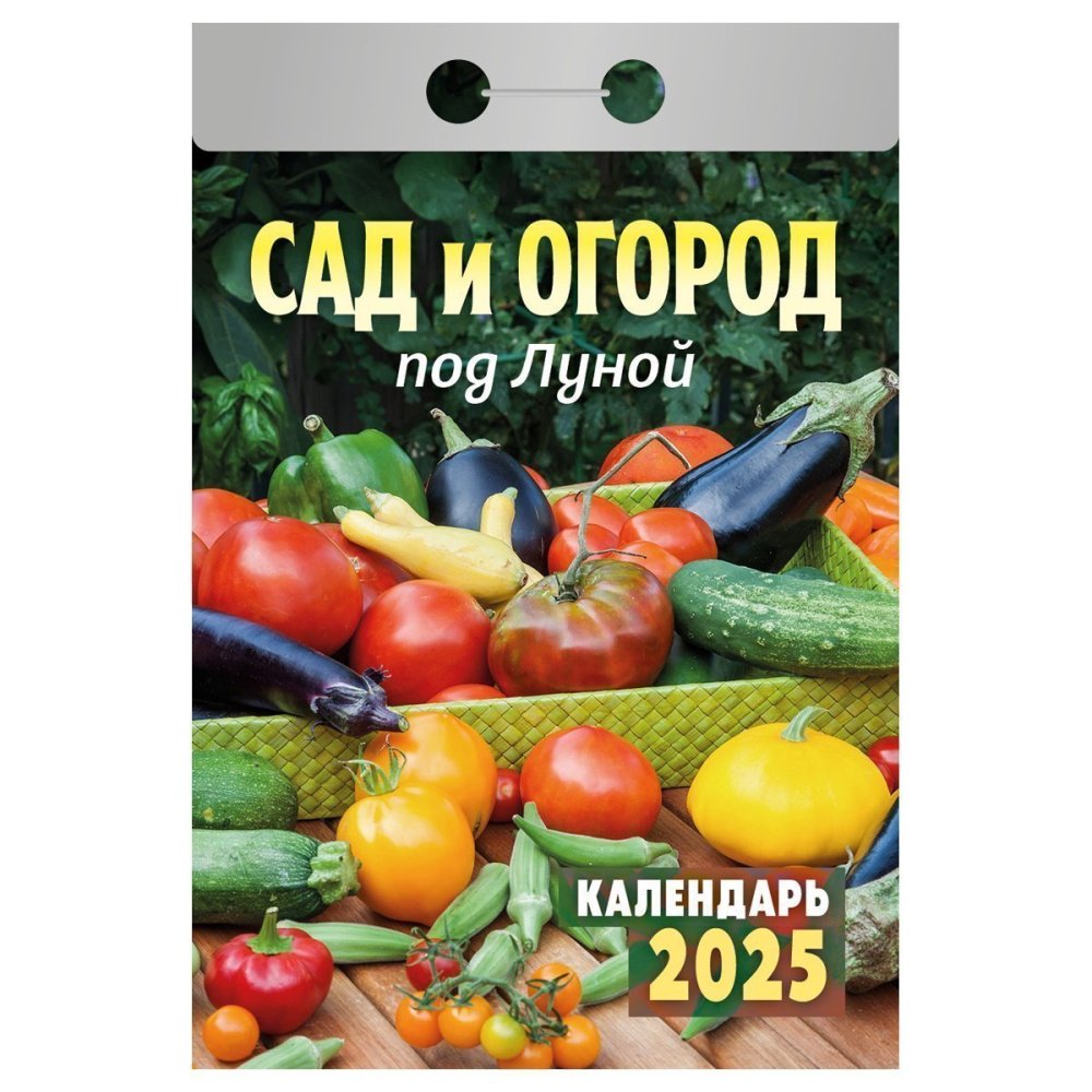 Календари отрывные 2025