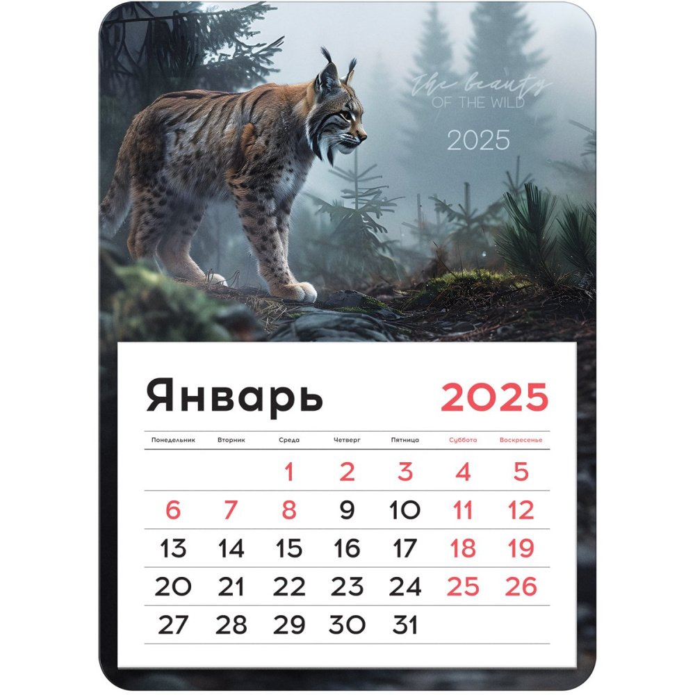 Календари на магните 2025