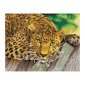 Алмазная мозаика ТРИ СОВЫ "Леопард", 30*40см, холст, картонная коробка с пластиковой ручкой