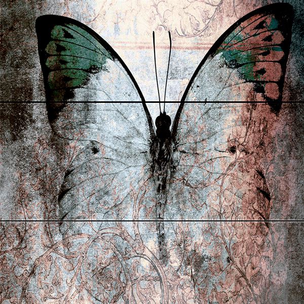Картина на досках 30х40 см Бабочка